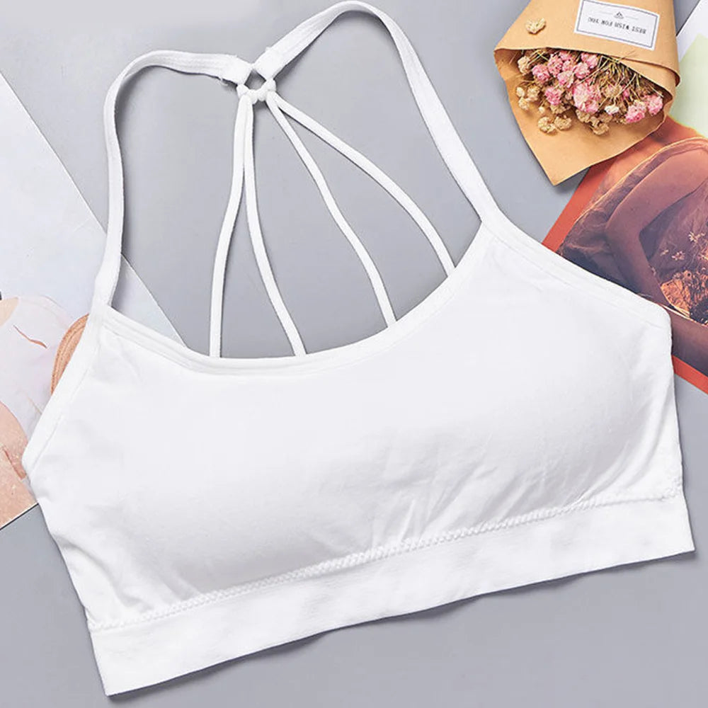 Top Sexy Respirável Sem Costura para Mulheres, Top de Esporte de Alto Impacto para Academia, Fitness, Yoga, Roupas Esportivas com Sustentação